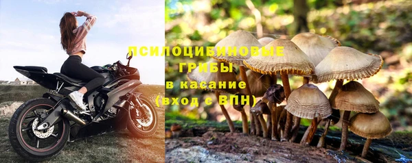 первитин Армянск