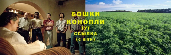 бошки Аркадак