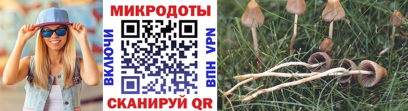 omg ссылка Ворсма Галлюциногенные грибы прущие грибы